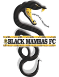 Black Rhinos